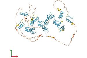 Protein Structure (PS) image for Zinc Finger Protein 64 (ZFP64) (AA 1-645) protein (His tag) (ABIN7545626)
