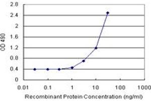 ANXA3 (Human) Matched Antibody Pair