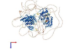 ZCCHC6 Protein (AA 1-1491) (His tag)