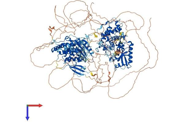 ZCCHC6 Protein (AA 1-1491) (His tag)