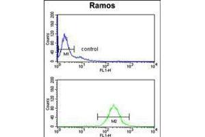 Flow cytometry analysis of Ramos cells (bottom histogram) compared to a negative control cell (top histogram).