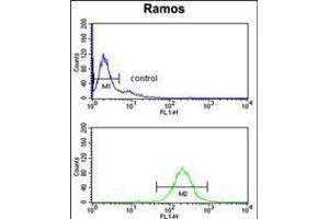 Flow Cytometry (FACS) image for anti-Nuclear Casein Kinase and Cyclin-Dependent Kinase Substrate 1 (NUCKS1) (AA 45-73), (N-Term) antibody (ABIN5535143)