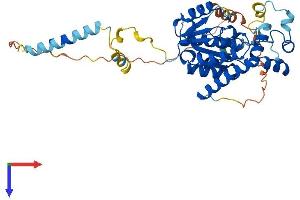 UST Protein (AA 1-406) (His tag)