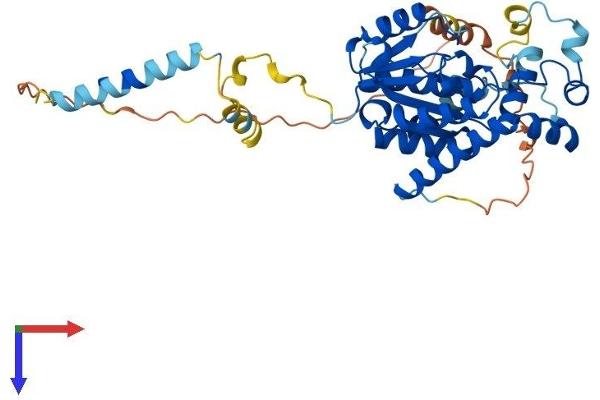 UST Protein (AA 1-406) (His tag)