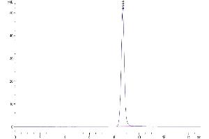 Size-exclusion chromatography-High Pressure Liquid Chromatography (SEC-HPLC) image for EPH Receptor A5 (EPHA5) (AA 27-412) protein (His tag) (ABIN7274565)