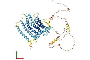 Protein Structure (PS) image for Transmembrane Protein 184C (TMEM184C) (AA 1-525) protein (His tag) (ABIN7557078)