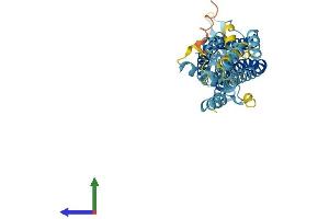 Protein Structure (PS) image for Pannexin 3 (PANX3) (AA 1-392) protein (His tag) (ABIN7559285)