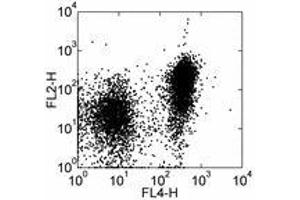 Image no. 1 for anti-Signaling Lymphocytic Activation Molecule Family Member 1 (SLAMF1) antibody (Biotin) (ABIN475810) (SLAMF1 Antikörper  (Biotin))