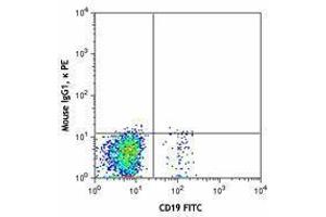 Flow Cytometry (FACS) image for anti-Chemokine (C-X-C Motif) Receptor 5 (CXCR5) antibody (PE) (ABIN2662490) (CXCR5 Antikörper  (PE))