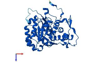 GMPR Protein (AA 1-345) (His tag)