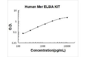 C-Mer Proto-Oncogene Tyrosine Kinase (MERTK) ELISA Kit
