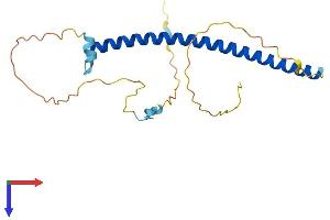 Geminin Protein (AA 1-206) (His tag)