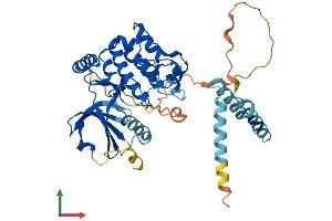 Protein Structure (PS) image for serine/threonine Kinase 25 (STK25) (AA 1-426) protein (His tag) (ABIN7544036)