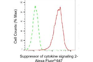 Flow cytometric analysis of Suppressor of cytokine signaling 2 expression in HAP-1 cells using Suppressor of cytokine signaling 2 antibody (ABIN7800465), 1:2,000). (Rekombinanter SOCS2 Antikörper)