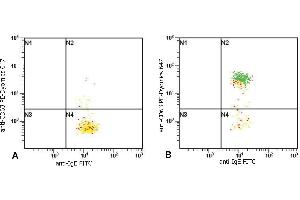 Flow cytometry analysis of basophil activation upon stimulation of normal (heparin-treated) whole blood with combination of IL-3 and Goat anti-IgE polyclonal antibody. (Maus anti-Human IgE Antikörper (FITC))