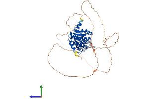 Protein Structure (PS) image for MACRO Domain Containing 2 (MACROD2) (AA 1-475) protein (His tag) (ABIN7557312)