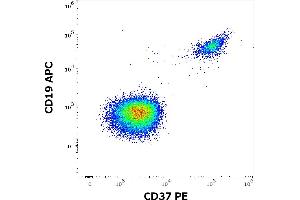 Flow cytometry multicolor surface staining of human gated lymphocytes stained using anti-human CD37 (MB-1) PE antibody (10 μL reagent / 100 μL of peripheral whole blood) and anti-human CD19 (LT19) APC antibody (10 μL reagent / 100 μL of peripheral whole blood). (CD37 Antikörper  (PE))
