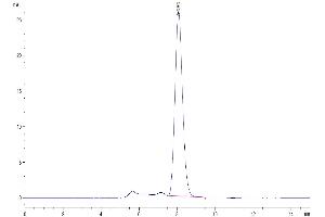 The purity of Mouse TIGIT is greater than 95 % as determined by SEC-HPLC. (TIGIT Protein (AA 26-143) (Fc Tag))