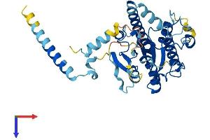 DYNC2LI1 Protein (AA 1-351) (His tag)