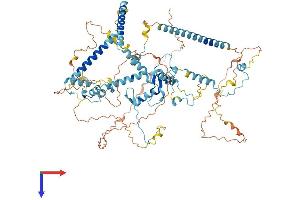 SART1 Protein (AA 1-800) (His tag)