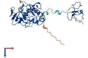 PHF7 Protein (AA 1-307) (His tag)