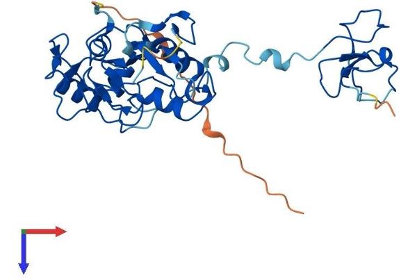 PHF7 Protein (AA 1-307) (His tag)