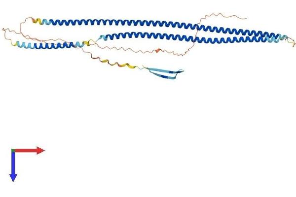 Keratin 36 Protein (KRT36) (AA 1-473) (His tag)