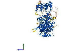 Protein Structure (PS) image for KRIT1, Ankyrin Repeat Containing (KRIT1) (AA 1-736) protein (His tag) (ABIN7564147)