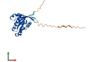 Protein Structure (PS) image for RAB6B, Member RAS Oncogene Family (RAB6B) (AA 1-208) protein (His tag) (ABIN7556581)