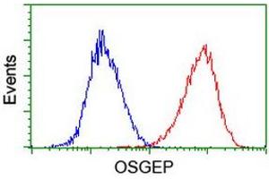 Flow cytometric Analysis of Hela cells, using anti-OSGEP antibody (ABIN2454648), (Red), compared to a nonspecific negative control antibody, (Blue). (OSGEP Antikörper  (AA 1-335))