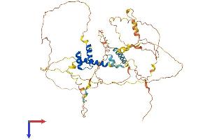 Arx Protein (AA 1-564) (His tag)