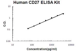 Human TNFRSF7/CD27 Accusignal ELISA Kit Human TNFRSF7/CD27 AccuSignal ELISA Kit standard curve.