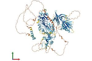 AlphaFold protein structure predicition of Mouse Recombinant Stk11ip Protein, UniprotID Q3TAA7