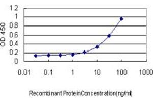 Detection limit for recombinant GST tagged RGL2 is approximately 1ng/ml as a capture antibody. (RGL2 Antikörper  (AA 644-743))