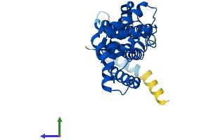 Protein Structure (PS) image for ELMO/CED-12 Domain Containing 2 (ELMOD2) (AA 1-293) protein (His tag) (ABIN7558550)