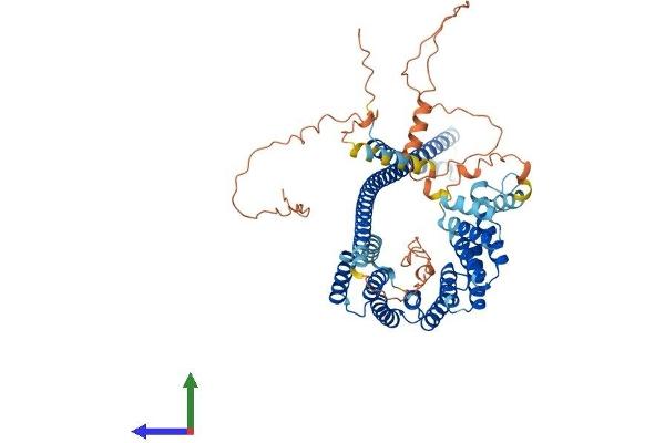 KLC2 Protein (AA 1-622) (His tag)