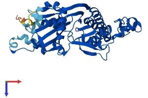 PANK3 Protein (AA 1-370) (His tag)