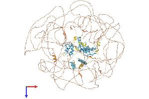 GLI3 Protein (AA 1-1580) (His tag)