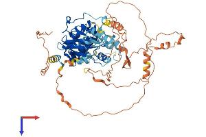 MAPK4 Protein (AA 1-583) (His tag)