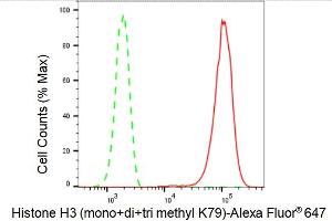 Flow cytometric analysis of Histone H3 (mono+di+tri methyl K79) expression in HepG2 cells using Histone H3 (mono+di+tri methyl K79) antibody (ABIN7798965), 1:2,000). (Rekombinanter Histone 3 Antikörper  (H3K79me))