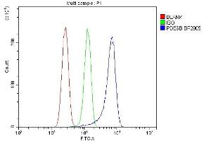 anti-phosphodiesterase 6B, CGMP-Specific, Rod, beta (PDE6B) (AA 25-237) antibody