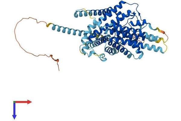 SOAT2 Protein (AA 1-525) (His tag)