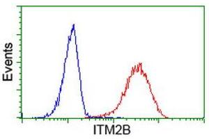 Flow Cytometry (FACS) image for anti-Integral Membrane Protein 2B (ITM2B) antibody (ABIN1496395) (ITM2B Antikörper)