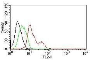 Flow Cytometry for human ER-alpha on MCF-7 cells. (Estrogen Receptor alpha Antikörper  (AA 2-185) (PE))