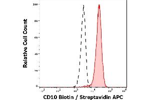 Separation of neutrophil granulocytes stained anti-human CD10 (MEM-78) Biotin antibody (concentration in sample 12 μg/mL, Streptavidin APC, red-filled) from neutrophil granulocytes unstained by primary antibody (Streptavidin APC, black-dashed) in flow cytometry analysis (surface staining). (MME Antikörper  (Biotin))