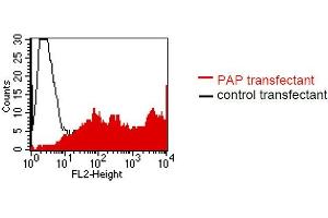 Flow Cytometry (FACS) image for anti-Acid Phosphatase, Prostate (ACPP) antibody (ABIN238332)