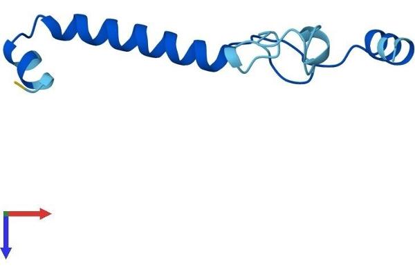 NMES1 Protein (AA 1-83) (Fc Tag)