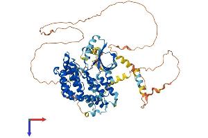 RIPK1 Protein (AA 1-656) (His tag)