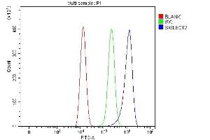 Flow Cytometry analysis of HEL cells using anti-SIGLEC12 antibody (ABIN7601259). (SIGLEC12 Antikörper  (AA 31-287))