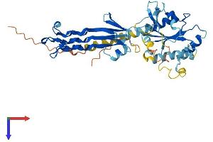 GTPBP10 Protein (AA 1-387) (His tag)